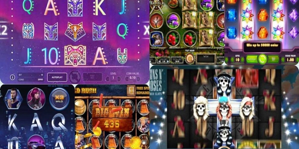 Explore the Top Casino Site